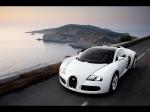 Bugatti Veyron 16.4 Grand Sport Roadster 2008 года